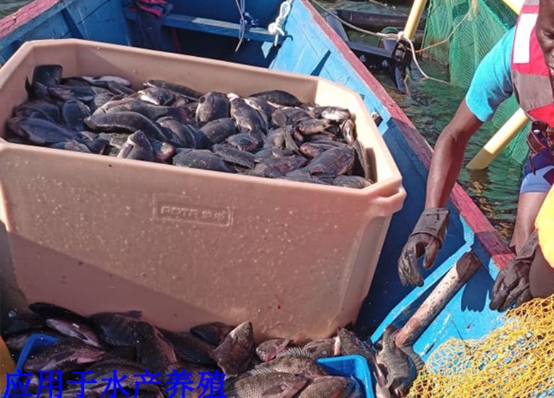 應用于水產(chǎn)養(yǎng)殖