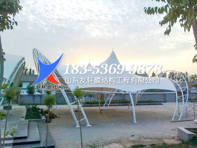 5f17e3cc8e0f6.jpg psu (8).jpg