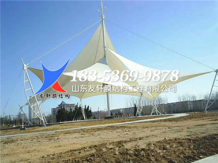 5f17e49255405.jpg mmexport1526387479275.jpg